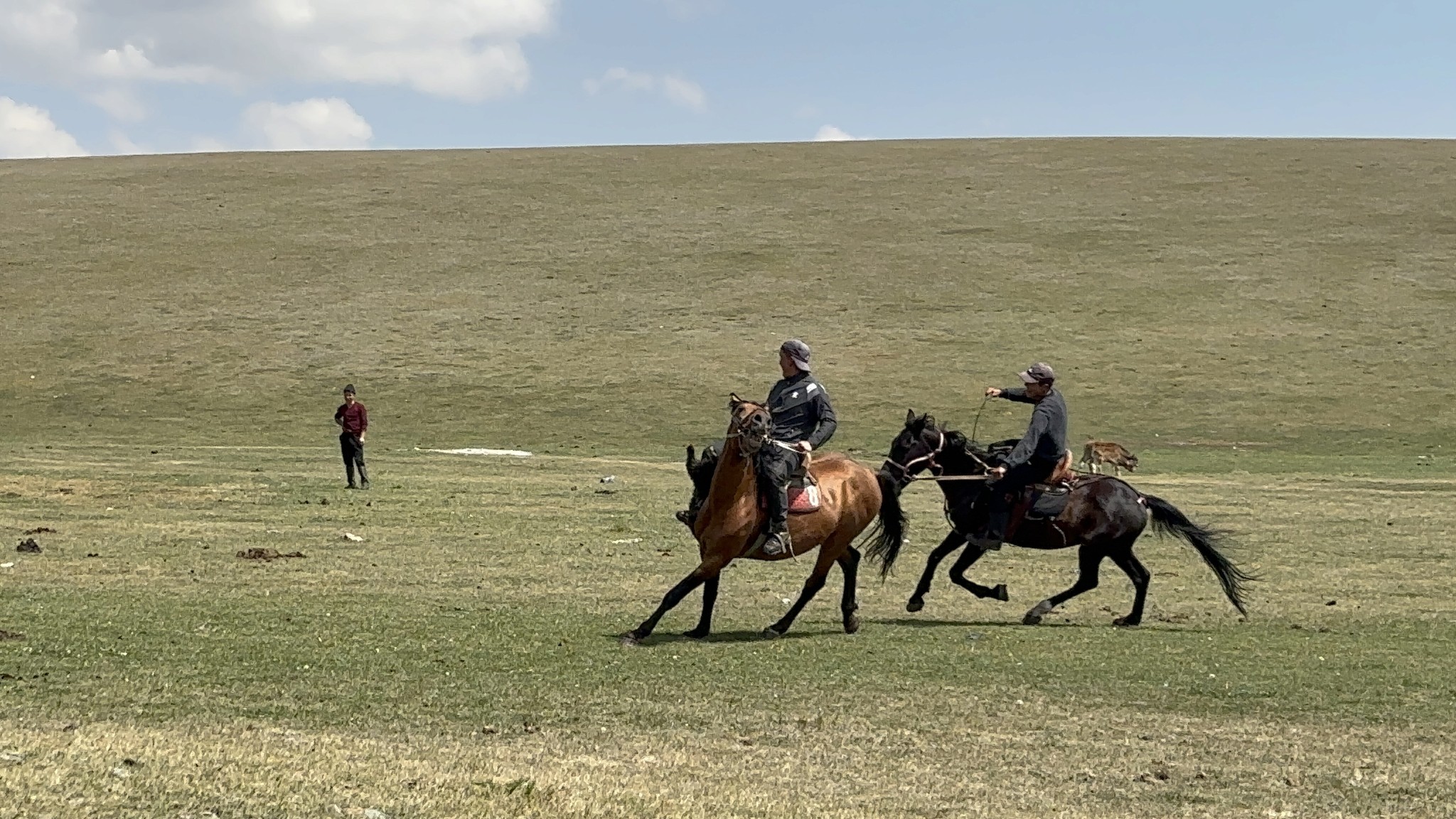 Authentic nomad horseback experience in Central Asia